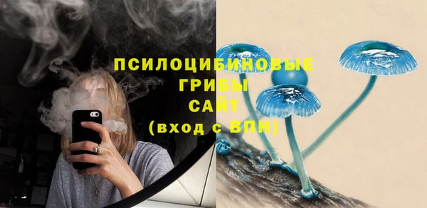 spice Беломорск