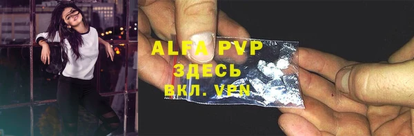 молекула духа Белоозёрский