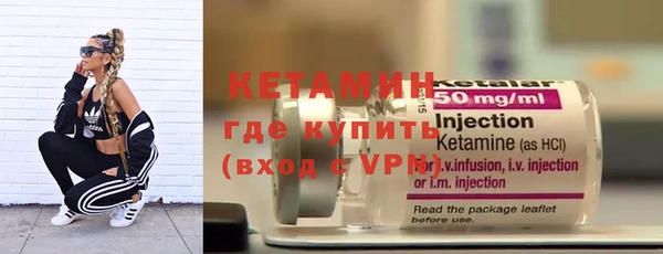 прущие грибы Белокуриха