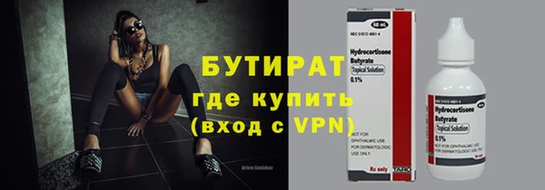 индика Богородск
