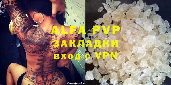 прущие грибы Белокуриха