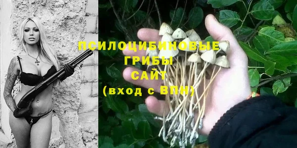 индика Богородск