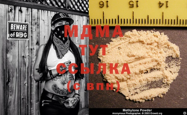 индика Богородск