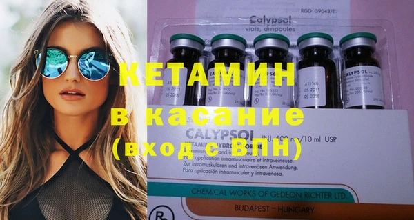 прущие грибы Белокуриха