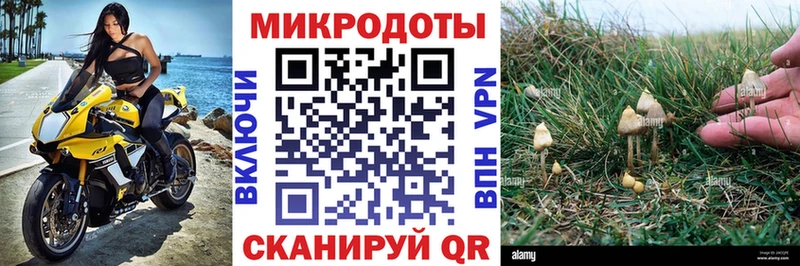Псилоцибиновые грибы Psilocybe Боровичи